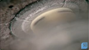 brushed polyester fabric