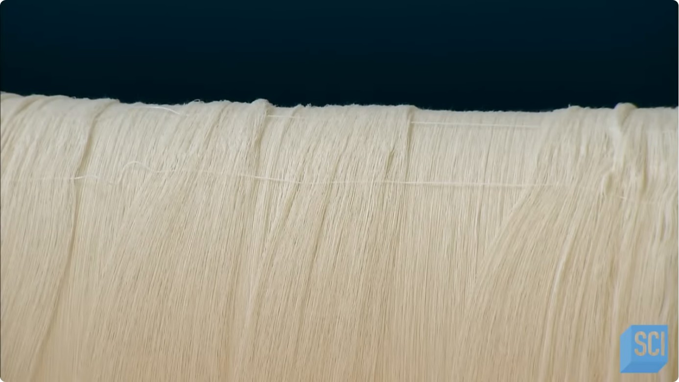 jersey cotton fabric